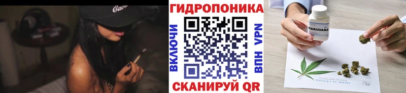 Продажа наркотиков Грязовец Амфетамин  Меф  OMG онион  Канабис  ГАШИШ 