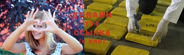 ешки Алексеевка
