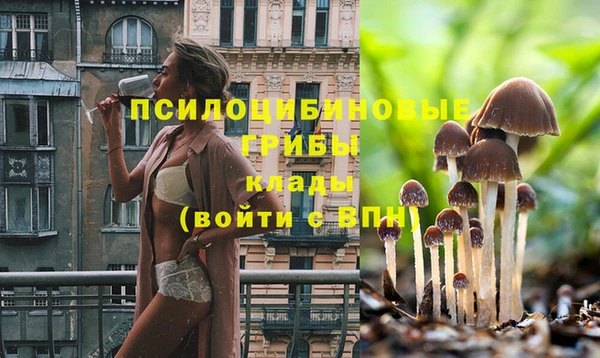эйфоретик Семикаракорск